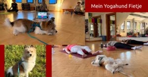 Yoga mit Hund